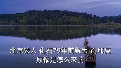 北京猿人 化石79年前就丟了,那復原像是怎么來的