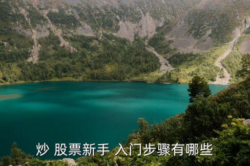 炒 股票新手 入門步驟有哪些