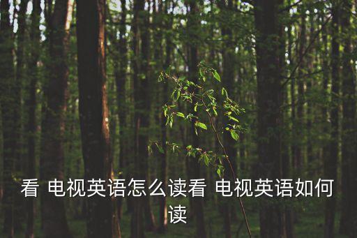 電視的英文怎么讀,看電視英文怎么讀?