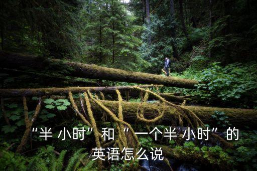 “半 小時(shí)”和“ 一個(gè)半 小時(shí)”的英語(yǔ)怎么說(shuō)