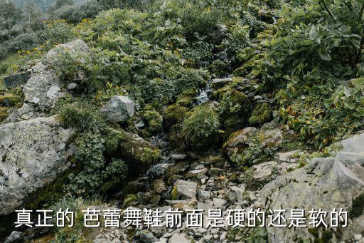 芭蕾鞋