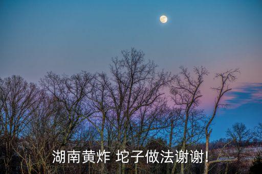 湖南黃炸 坨子做法謝謝!