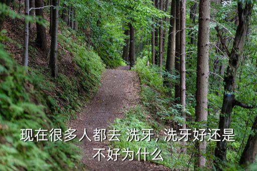 經(jīng)常洗牙好嗎,不洗牙有好處嗎?