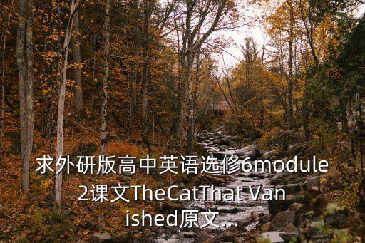 Vanished,求外研版高中英語選修of2課文原文