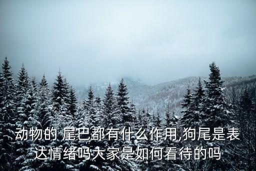 狗尾巴的作用,鳥類尾巴的作用有哪些?