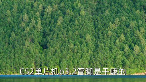 c52,c51和c52單片機有何不同?