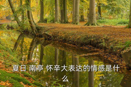  夏日 南亭 懷辛大表達的情感是什么