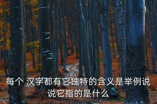 漢字的意義,中國漢字的意義