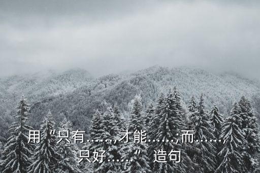 用“只有……,才能……;而……, 只好……” 造句