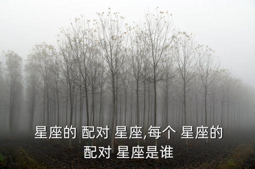  星座的 配對 星座,每個 星座的 配對 星座是誰