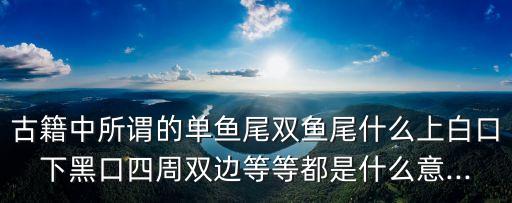 毛邊書