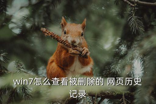 歷史網(wǎng)頁(yè),怎么恢復(fù)網(wǎng)頁(yè)歷史?