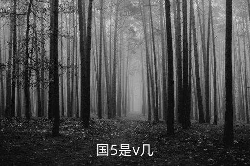 國5,國五和國六的車最大區別就是用了三元換氣器