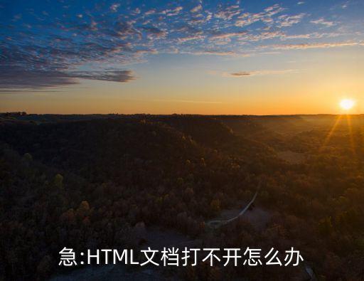 急:HTML文檔打不開怎么辦