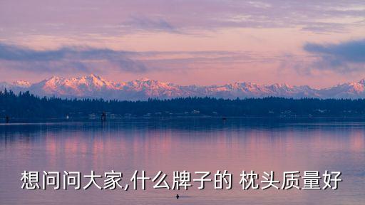 健康枕頭,枕醫生健康枕頭