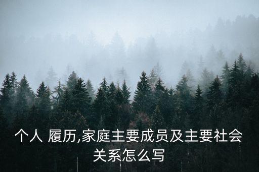 個人 履歷,家庭主要成員及主要社會關系怎么寫