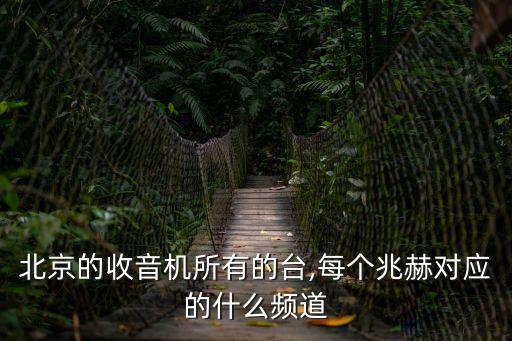 性8電臺