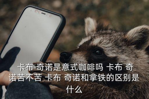  卡布 奇諾是意式咖啡嗎 卡布 奇諾苦不苦 卡布 奇諾和拿鐵的區(qū)別是什么