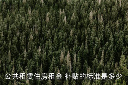 公共租賃住房租金 補貼的標準是多少