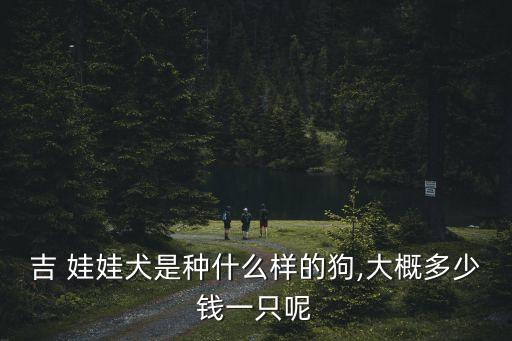 吉 娃娃犬是種什么樣的狗,大概多少錢(qián)一只呢