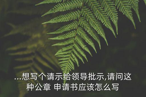 ...想寫個請示給領導批示,請問這種公章 申請書應該怎么寫