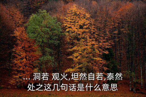 ... 洞若 觀火,坦然自若,泰然處之這幾句話是什么意思