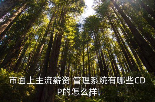 員工工資管理系統(tǒng)