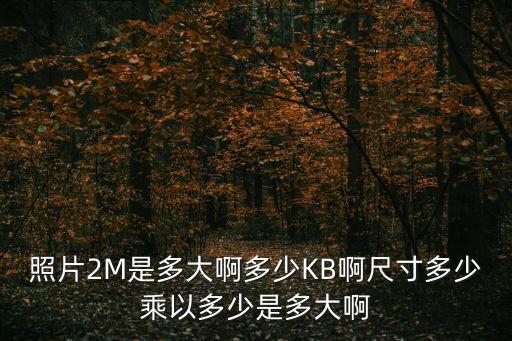 照片2M是多大啊多少KB啊尺寸多少乘以多少是多大啊