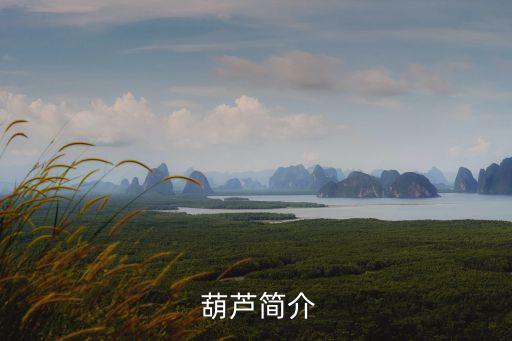  葫蘆簡介