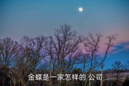  金蝶是一家怎樣的 公司