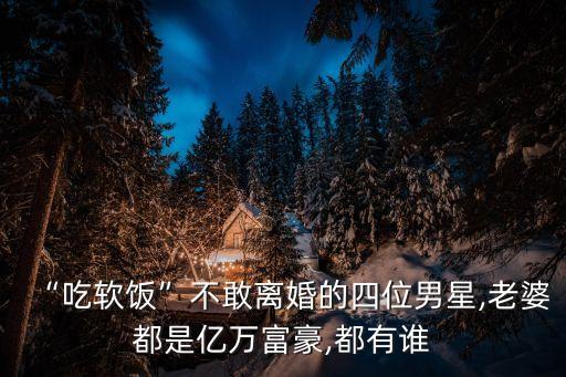 陳麗華年輕時的照片,遲陳麗華與遲重瑞年輕時照片