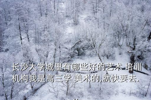 長沙高考美術培訓,高三美術培訓費用多少?