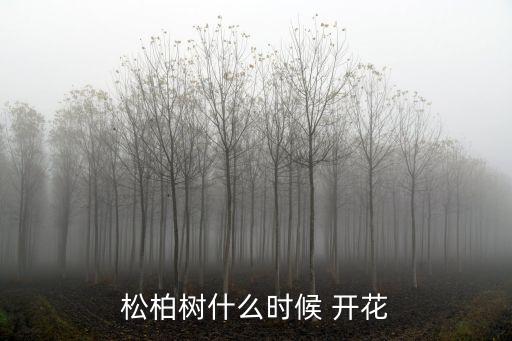 松樹會開花嗎,松樹開花嗎? 開的花是什么顏色的? 氣味是什么味道的?