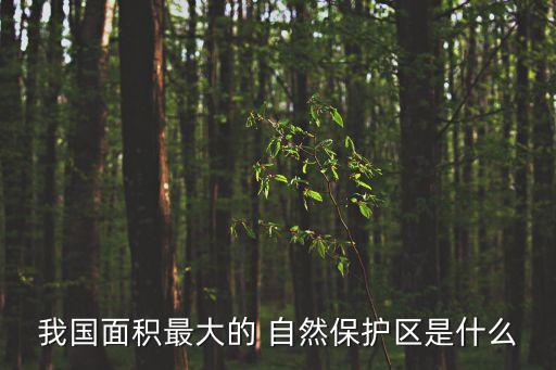 我國面積最大的 自然保護區是什么