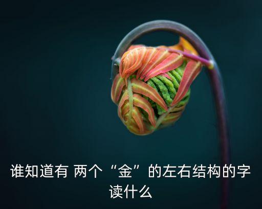 誰知道有 兩個“金”的左右結(jié)構(gòu)的字讀什么