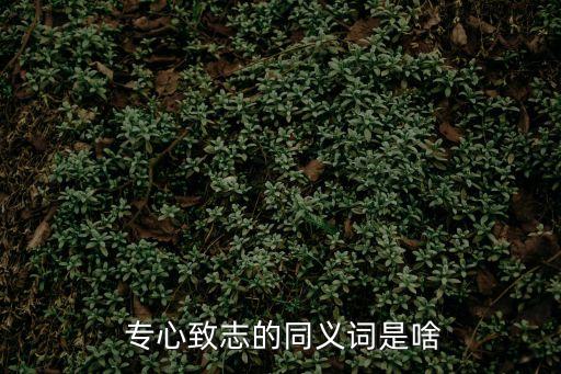 專心致志近義詞,專專心致志的近義詞是什么