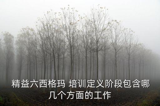  精益六西格瑪 培訓定義階段包含哪幾個方面的工作