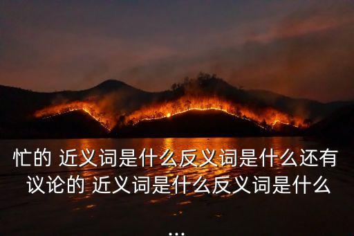 忙的 近義詞是什么反義詞是什么還有 議論的 近義詞是什么反義詞是什么...