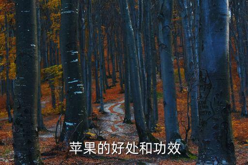  蘋果的好處和功效