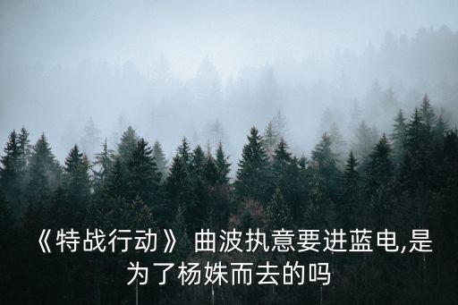 《特戰行動》 曲波執意要進藍電,是為了楊姝而去的嗎