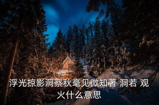 洞若觀火的意思