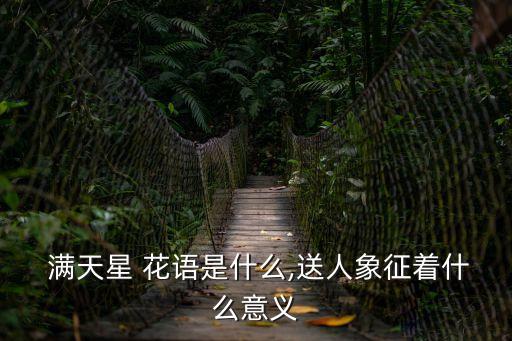滿天星花語和寓意,不同顏色滿天星花語和寓意