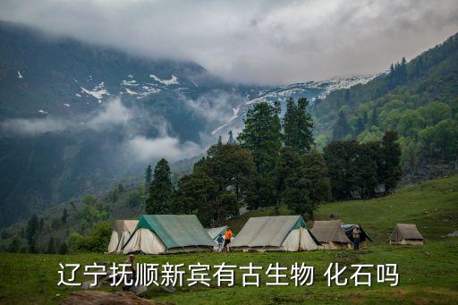 化石圖片,古生物化石圖片