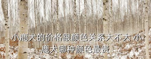 小鹿狗