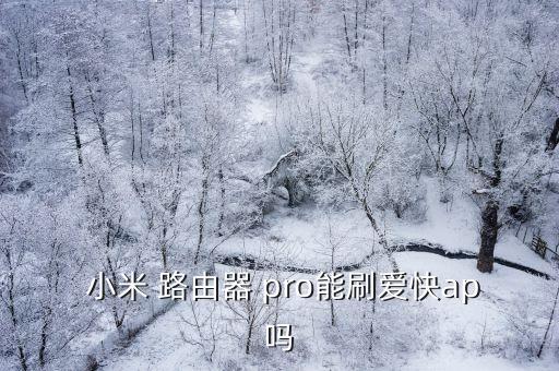 小米路由pro