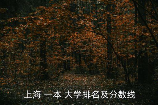  上海 一本 大學排名及分數線