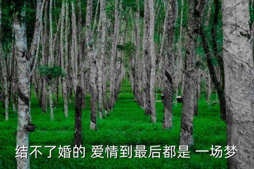 愛(ài)情是一場(chǎng)夢(mèng)