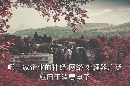 網絡處理器,NPU神經網絡處理器