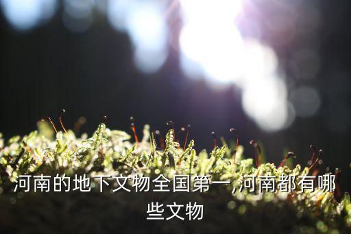 杜嶺方鼎,中國博物院的 杜嶺方鼎
