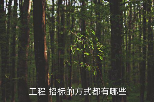  工程 招標的方式都有哪些